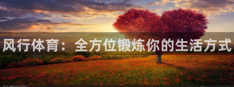 一竞技官方正版app娱乐首页官网下载：风行体育：全方