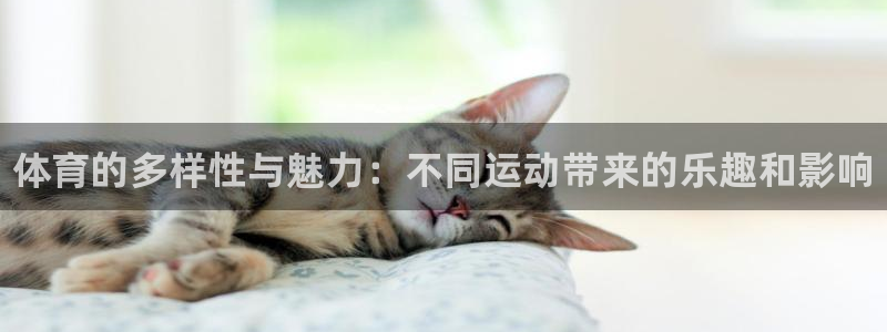 一竞技官方正版app集团：体育的多样性与魅力：不同运动带来的