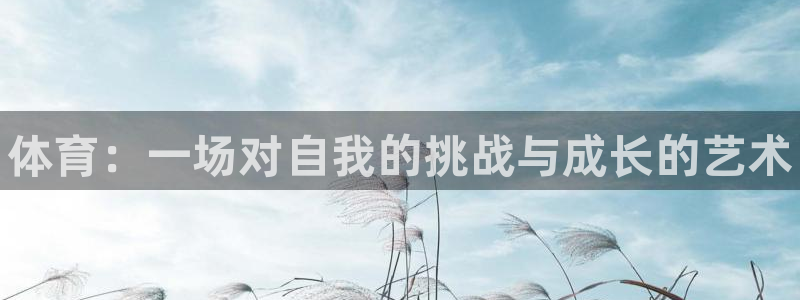 一竞技官网下载平台注册：体育：一场对自我的挑战与成长的艺术