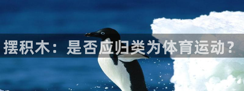 一竞技官网下载是干嘛的公司：摆积木：是否应归类为体育运动？