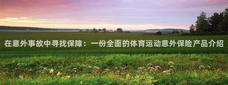一竞技官网下载招商电话：在意外事故中寻找保障：一份全