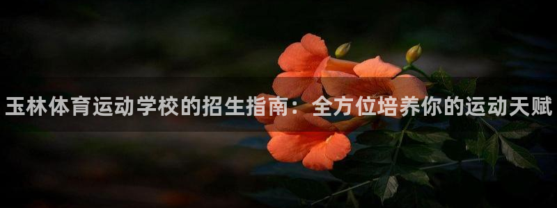 一竞技官网下载平台APP：玉林体育运动学校的招生指南