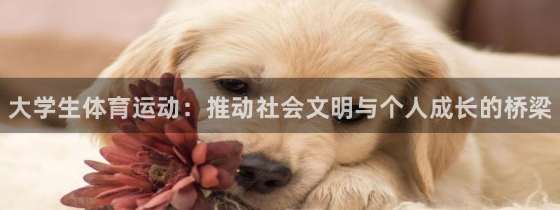一竞技官网下载平台是正规平台吗安全吗：大学生体育运动