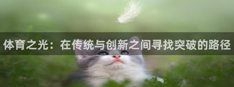 一竞技官网下载是干嘛的公司：体育之光：在传统与创新之