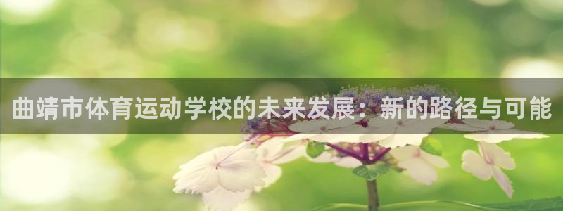 一竞技官方正版app娱乐代理怎么样：曲靖市体育运动学