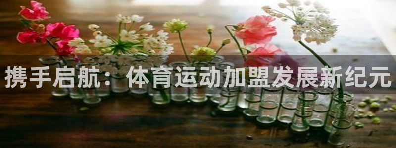 一竞技官网下载招商电话号码是多少号：携手启航：体育运