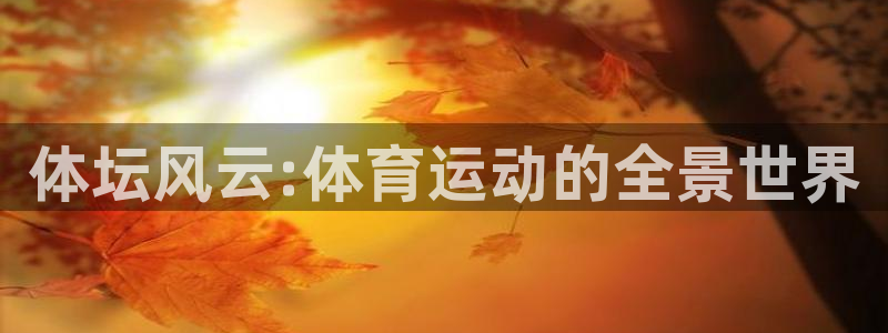 一竞技官网下载平台APP：体坛风云:体育运动的全景世界
