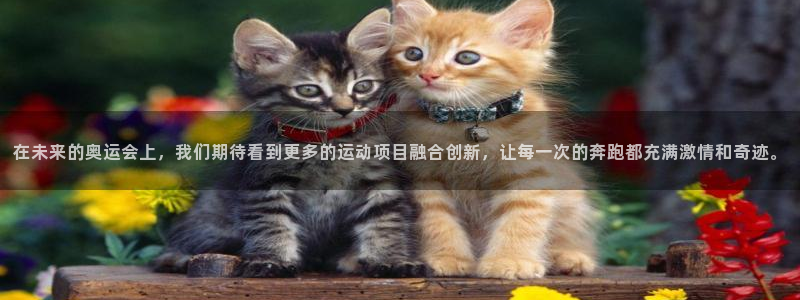 一竞技官方正版app娱乐平台：在未来的奥运会上，我们期待看到