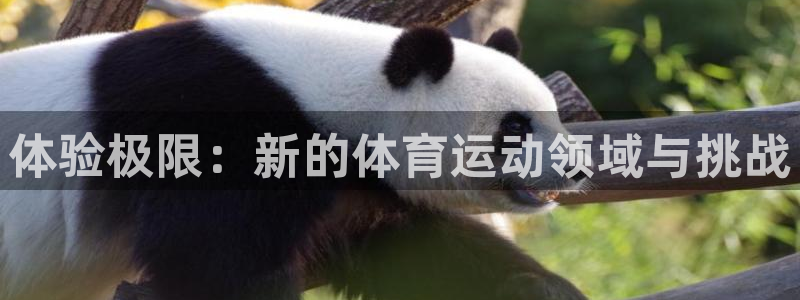 一竞技官方正版app开户：体验极限：新的体育运动领域与挑战