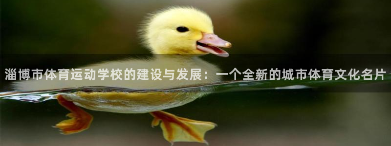 一竞技官网下载招商电话号码是多少啊：淄博市体育运动学校的建设