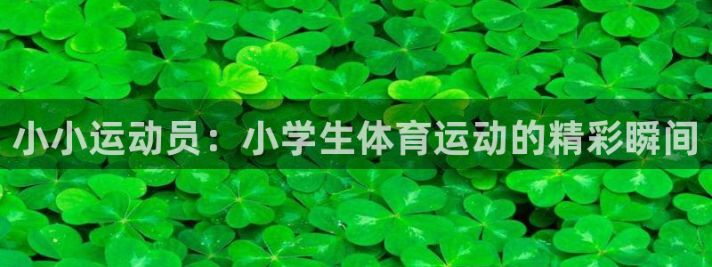 一竞技官方正版app集团：小小运动员：小学生体育运动