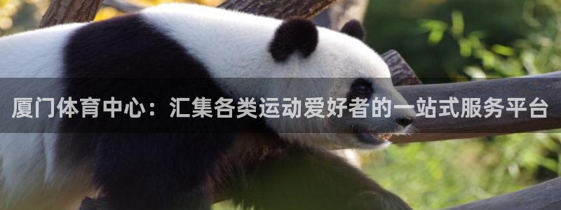一竞技官方正版app神州：厦门体育中心：汇集各类运动