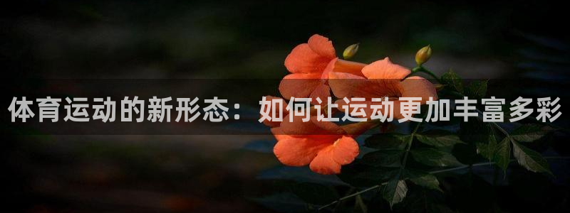 一竞技官方正版app开户：体育运动的新形态：如何让运
