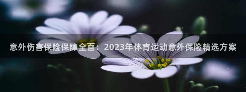 一竞技官网下载平台APP：意外伤害保险保障全面：2023年体