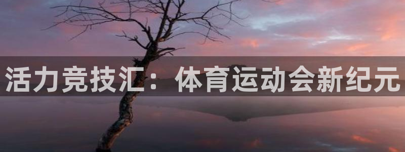 一竞技官网下载平台APP