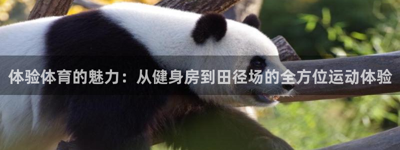 一竞技官网下载招商电话