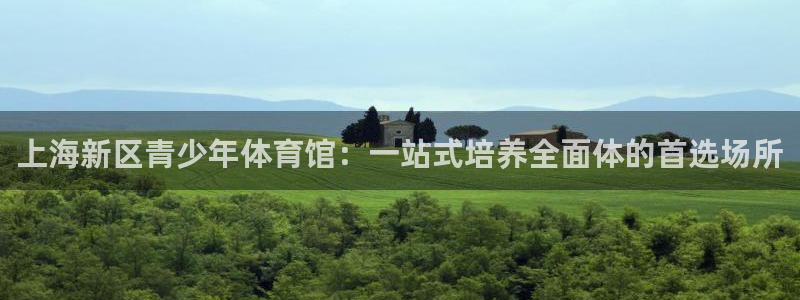 一竞技官方正版app集团官网网址：上海新区青少年体育馆：一站