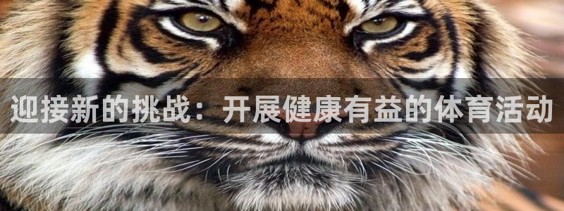 一竞技官网下载注册：迎接新的挑战：开展健康有益的体育活动