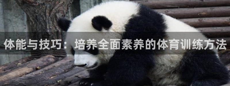 一竞技官网下载平台假的吗是真的吗：体能与技巧：培养全面素养的